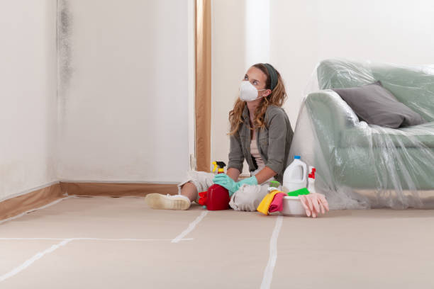 Reliable Mold Inspection contractor in Lancaster, TX by WQB Mold Removal